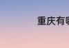 重庆有哪些重点大学
