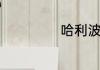 哈利波特角色介绍