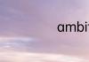 ambition可数吗