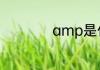 amp是什么意思生化