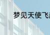 梦见天使飞起来了是什么意思