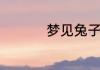梦见兔子生一窝小兔子