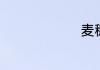 麦穗是什么