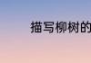 描写柳树的优美句子有哪些
