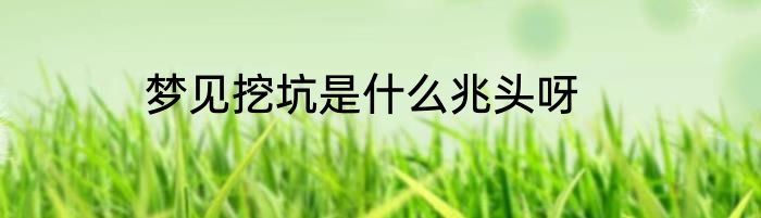 梦见挖坑是什么兆头呀
