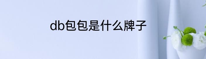db包包是什么牌子