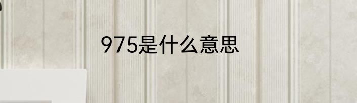 975是什么意思