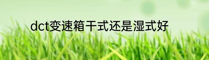 dct变速箱干式还是湿式好