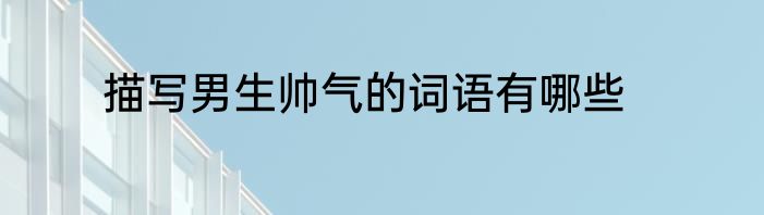 描写男生帅气的词语有哪些