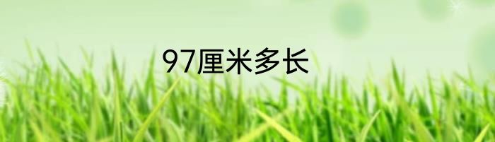 97厘米多长