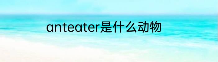 anteater是什么动物