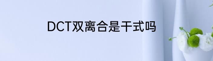 DCT双离合是干式吗
