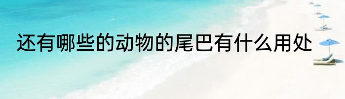 还有哪些的动物的尾巴有什么用处