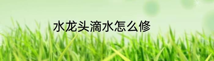 水龙头滴水怎么修