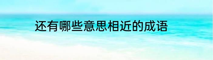 还有哪些意思相近的成语