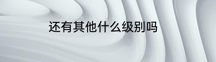 还有其他什么级别吗