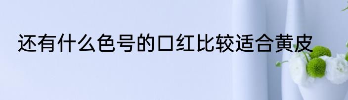 还有什么色号的口红比较适合黄皮
