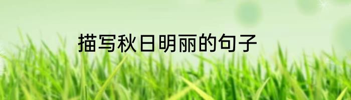 描写秋日明丽的句子