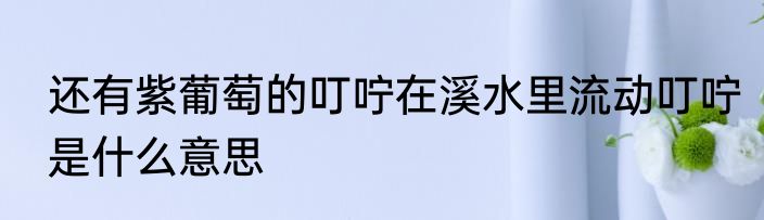 还有紫葡萄的叮咛在溪水里流动叮咛是什么意思