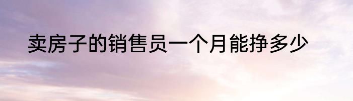 卖房子的销售员一个月能挣多少