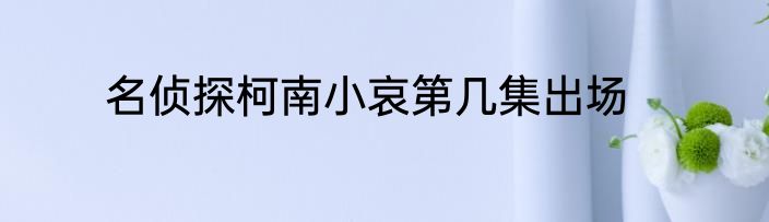 名侦探柯南小哀第几集出场