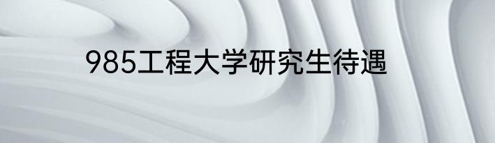985工程大学研究生待遇
