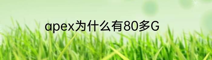 apex为什么有80多G