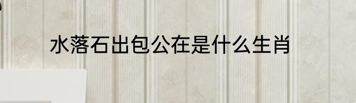 水落石出包公在是什么生肖