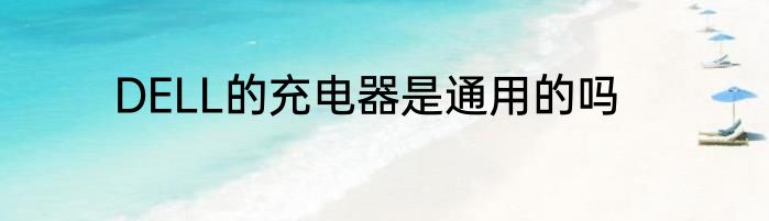DELL的充电器是通用的吗