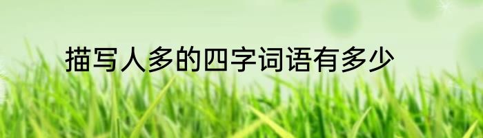 描写人多的四字词语有多少
