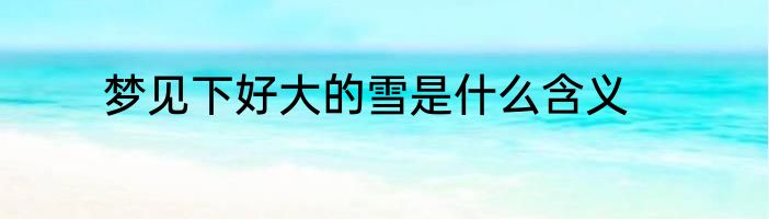 梦见下好大的雪是什么含义
