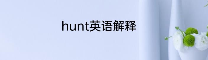 hunt英语解释