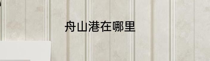 舟山港在哪里