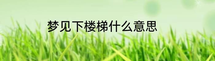 梦见下楼梯什么意思