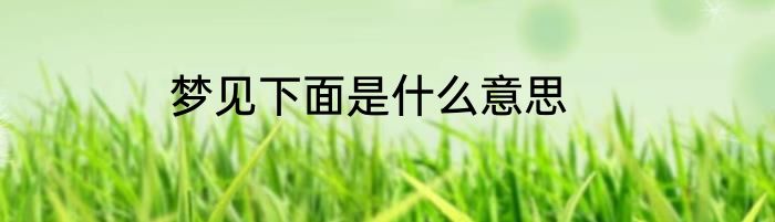 梦见下面是什么意思