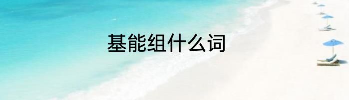 基能组什么词