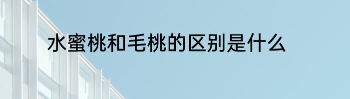 水蜜桃和毛桃的区别是什么