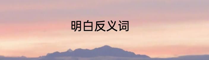 明白反义词