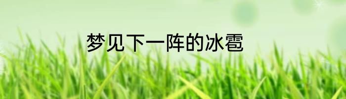 梦见下一阵的冰雹