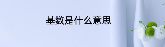 基数是什么意思
