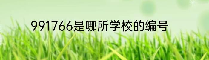 991766是哪所学校的编号