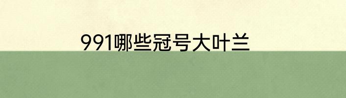 991哪些冠号大叶兰