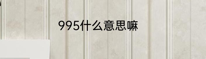 995什么意思嘛