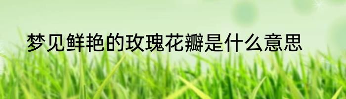 梦见鲜艳的玫瑰花瓣是什么意思