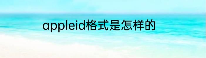 appleid格式是怎样的