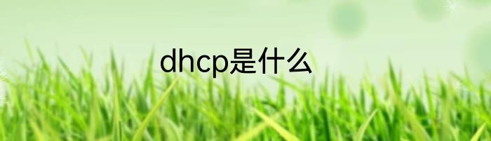 dhcp是什么