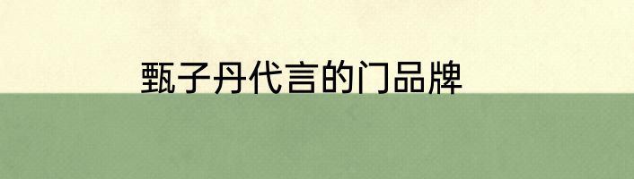 甄子丹代言的门品牌