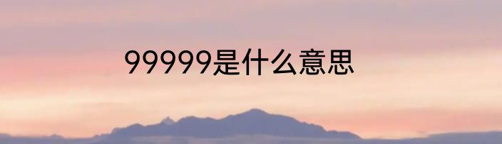 99999是什么意思