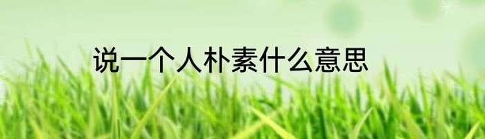 说一个人朴素什么意思