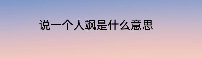 说一个人飒是什么意思